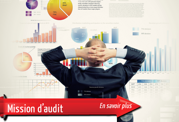 mission_audit