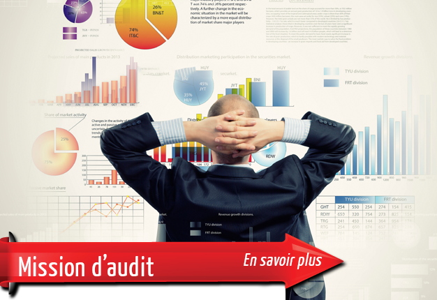 Découvrir : Mission d’audit