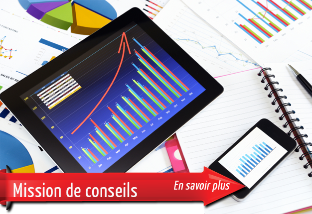 Découvrir : Mission de conseils